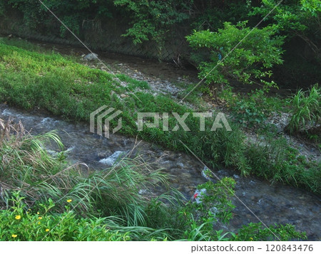 Scenery on the way from the Tarutaki parking lot to the entrance of the Heinan River, Ogimi Village, Okinawa Prefecture Scenery on the way from the Tarutaki parking lot to the entrance of the Heinan River, Ogimi Village, Okinawa Prefecture 120843476