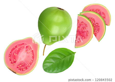 Guava fruit slices isolated on white background with full depth of field. Top view. Flat lay Guava fruit slices isolated on white background with full depth of field. Top view. Flat lay 120843502
