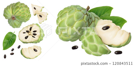 Sugar apple or custard apple isolated on white background . Exotic tropical Thai annona or cherimoya fruit. Top view. Flat lay Sugar apple or custard apple isolated on white background . Exotic tropical Thai annona or cherimoya fruit. Top view. Flat lay 120843511