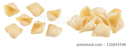 Conchiglioni italian pasta isolated on white background . Top view. Flat lay Conchiglioni italian pasta isolated on white background . Top view. Flat lay 120843596