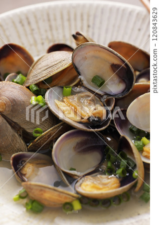Sake Steamed Clam Sake Steamed Clam 120843629