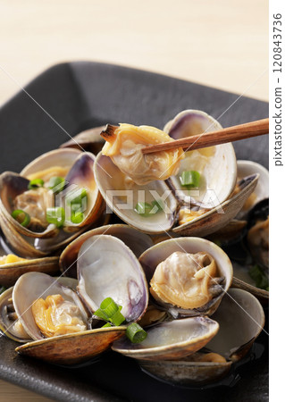 Steamed clams in sake Steamed clams in sake 120843736