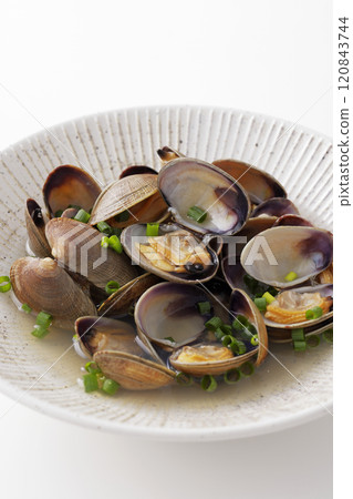 Steamed clams in sake 120843744