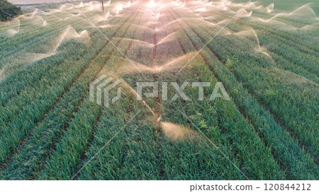 Irrigation system on the field. Irrigation system on the field. 120844212