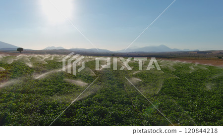 Irrigation system on the field. 120844218