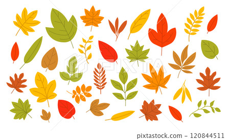 Colorful autumn leaves various shapes. Fall foliage illustration with leaves in red, orange, yellow 120844511