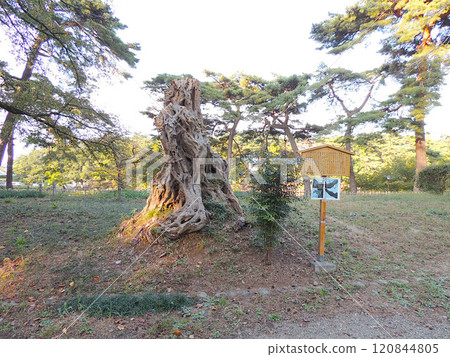 Omiya Park Akashiya Omiya Park Akashiya 120844805