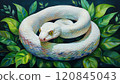 White Snake 120845043