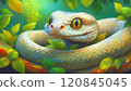 Cute white snake 120845045