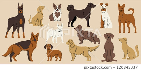 Different dogs collection. Cartoon cute puppy breeds, funny domestic animals in various poses and situations, colorful pet characters. Vector isolated set Different dogs collection. Cartoon cute puppy breeds, funny domestic animals in various poses and situations, colorful pet characters. Vector isolated set 120845337
