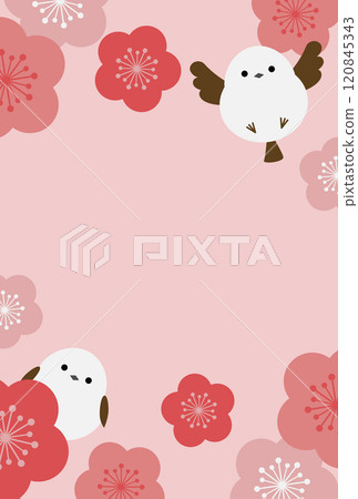 New Year's card template: Long-tailed tit and plum blossoms, no greetings New Year's card template: Long-tailed tit and plum blossoms, no greetings 120845343