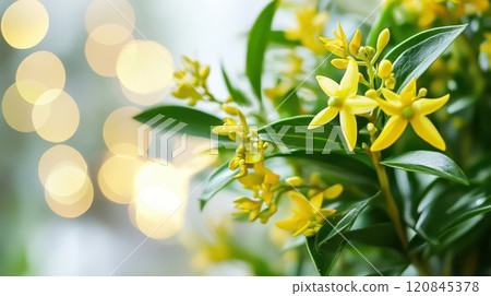 Yellow flowers with festive lights 120845378