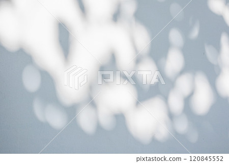 Abstract natural tree leaves shadow on white wall background Abstract natural tree leaves shadow on white wall background 120845552