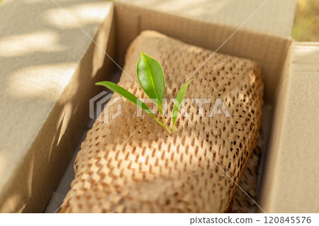 Green leaf on eco friendly brown paper honeycomb wrap for product packaging parcel carton box 120845576