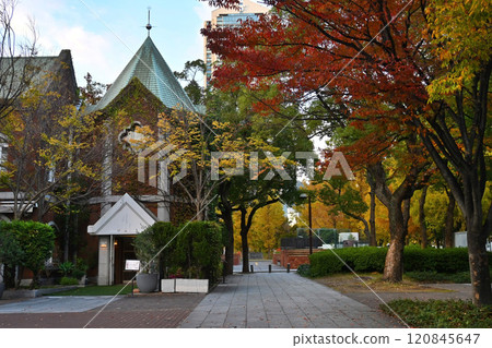 秋季可以散步的神戶市城市公園東遊園地 120845647