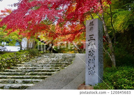 Autumn at Sanzen-in Temple, the approach, the gate, and the Hibiki-no-michi (Sakyo Ward, Kyoto) Autumn at Sanzen-in Temple, the approach, the gate, and the Hibiki-no-michi (Sakyo Ward, Kyoto) 120845683