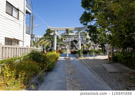 Kamata Shrine/Yodogawa Ward, Osaka City 120845898