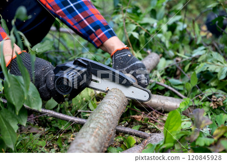 A man in gloves saws a wooden tree trunk with a saw. 120845928