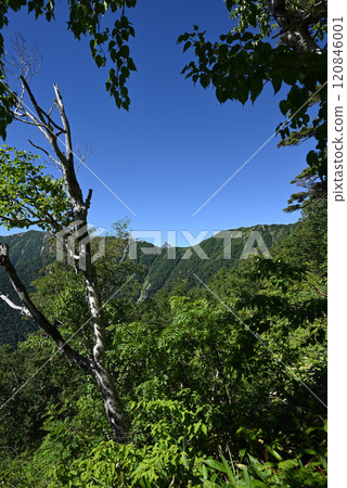 攀登長野縣北阿爾卑斯山茨巴庫山 攀登長野縣北阿爾卑斯山茨巴庫山 120846001