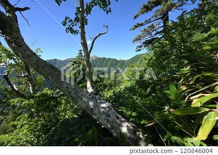 Climbing Mount Tsurugidake, Northern Alps, Nagano Prefecture Climbing Mount Tsurugidake, Northern Alps, Nagano Prefecture 120846004