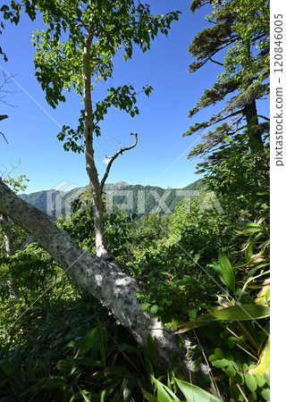 攀登長野縣北阿爾卑斯山茨巴庫山 120846005