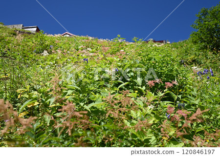 攀登長野縣北阿爾卑斯山茨巴庫山 120846197