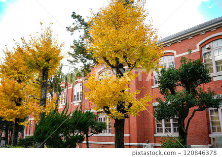 秋葉京都大學 120846378