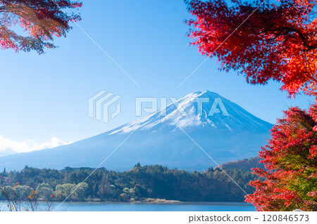 富士山和紅葉/河口湖秋天 2024 富士山和紅葉/河口湖秋天 2024 120846573