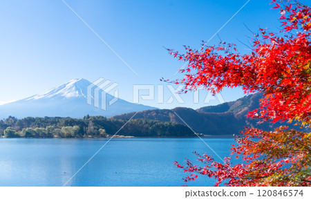 Mt. Fuji and autumn leaves at Lake Kawaguchi Fall 2024 Mt. Fuji and autumn leaves at Lake Kawaguchi Fall 2024 120846574