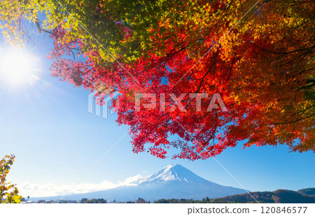 Mt. Fuji and autumn leaves at Lake Kawaguchi Fall 2024 Mt. Fuji and autumn leaves at Lake Kawaguchi Fall 2024 120846577