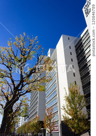 東京理科大學本部 東京理科大學本部 120846789