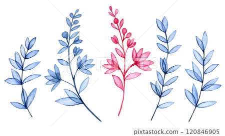 watercolor illustration, set of transparent wildflowers, x-ray. elegant pink and blue print watercolor illustration, set of transparent wildflowers, x-ray. elegant pink and blue print 120846905