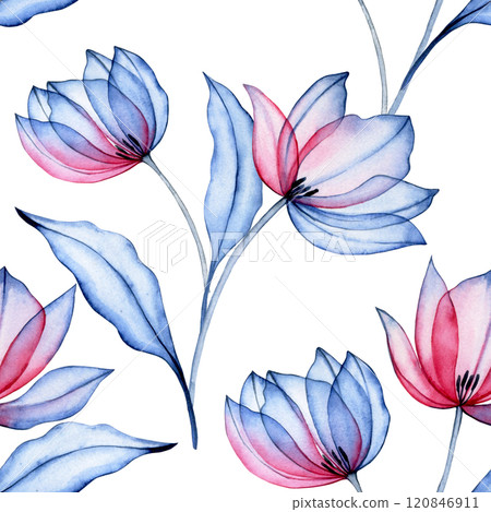 watercolor seamless pattern of transparent tulippan flowers, x-ray. elegant pink and blue print 120846911