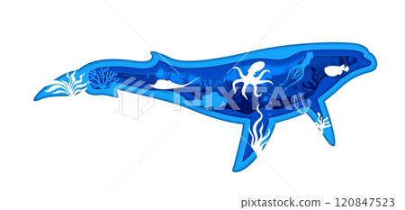 Cartoon whale silhouette with underwater landscape paper cut frame. Sea animals inside of 3d vector papercut border in shape of blower, sperm, cachalot or blue whale with tropical aquatic vegetation Cartoon whale silhouette with underwater landscape paper cut frame. Sea animals inside of 3d vector papercut border in shape of blower, sperm, cachalot or blue whale with tropical aquatic vegetation 120847523