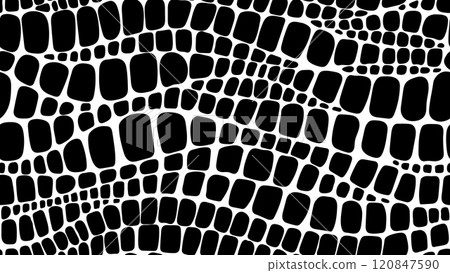 Crocodile, dinosaur and snake animal skin pattern, reptile leather vector background with black and white scales texture. Abstract modern geometric background with alligator crocodile skin pattern Crocodile, dinosaur and snake animal skin pattern, reptile leather vector background with black and white scales texture. Abstract modern geometric background with alligator crocodile skin pattern 120847590