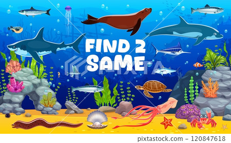 Find two same underwater animals and fishes in sea or ocean, vector game worksheet. Kids cartoon quiz game to find two same underwater shark or dolphin with squid or crab and starfish in coral reef Find two same underwater animals and fishes in sea or ocean, vector game worksheet. Kids cartoon quiz game to find two same underwater shark or dolphin with squid or crab and starfish in coral reef 120847618