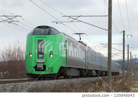 函館本線特急丁香紫 特快丁香丁香 120848043