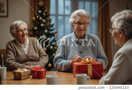 Romantic sweet senior couple in santa hats having fun and smiling while celebrating new year eve and enjoying spending time together.Senior man giving gift box surprise to wife 120848183