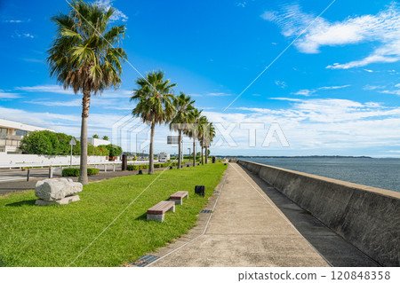 The ocean view from the coastal promenade near the Rinku Observatory Parking Lot (Aichi Prefecture) 120848358