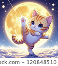 Illustration of a cat training under a full moon 120848510