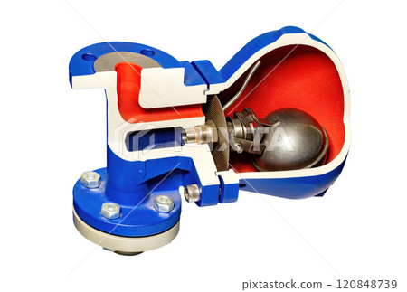 Detailed cross-section of a valve showcasing inner mechanics and design principles Detailed cross-section of a valve showcasing inner mechanics and design principles 120848739