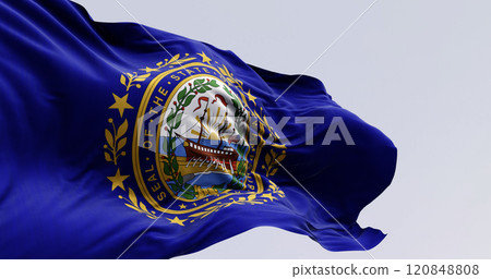 New Hampshire state flag waving in the wind on a clear day 120848808