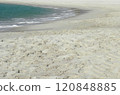 海、翠綠的沙灘 120848885