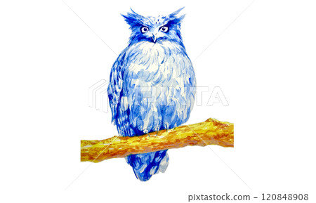 Watercolor painting of a blue owl perched on a branch Watercolor painting of a blue owl perched on a branch 120848908