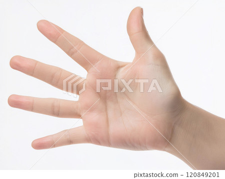 掌心 掌心 120849201