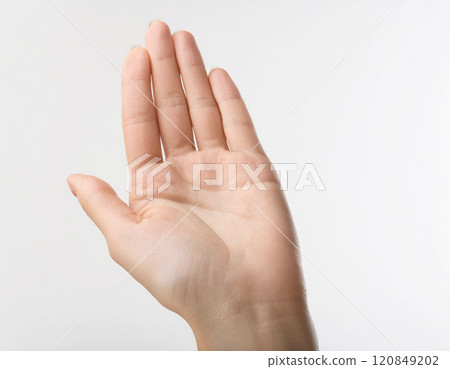 掌心 掌心 120849202