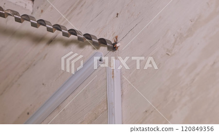 A drill with a wood drill bit drills a wooden wall. 120849356