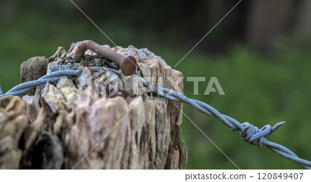 poles with barbed wire poles with barbed wire 120849407