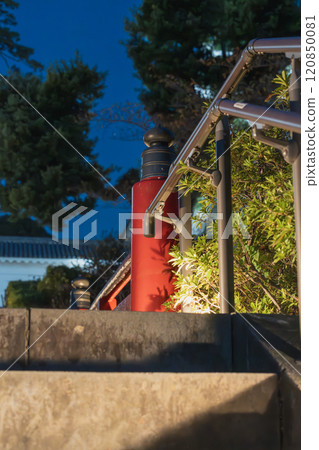 小田原城燈火通明的夜景 小田原城燈火通明的夜景 120850081