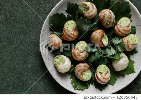 grape snails , stuffed in burgundy, french cuisine, 120850445